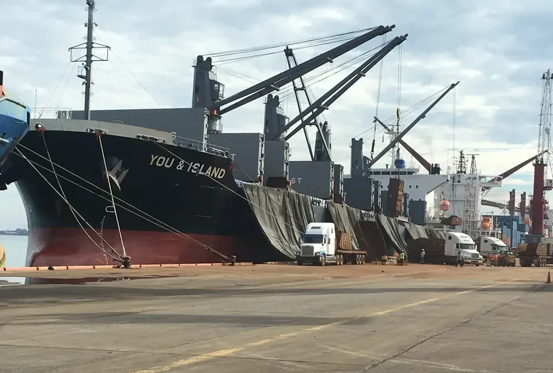 YOU&ISLAND Bulk Carrier IMO 9605085