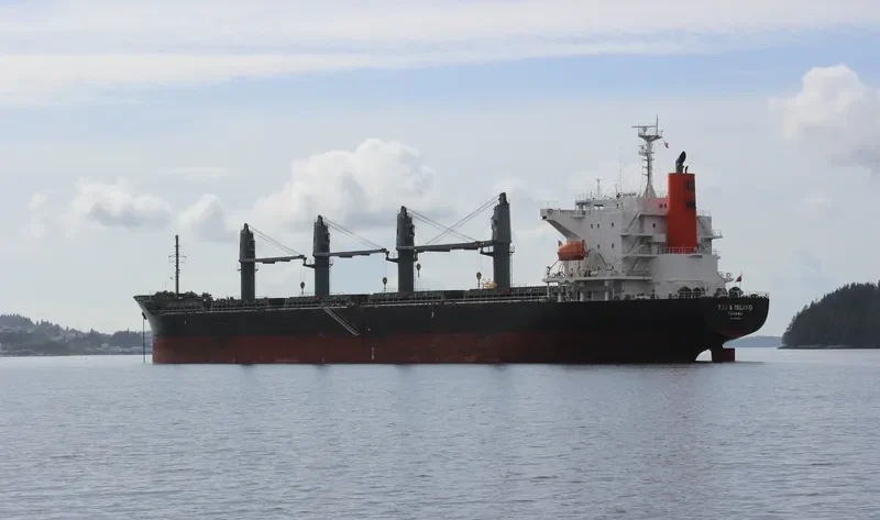 YOU&ISLAND Bulk Carrier IMO 9605085 photo 5