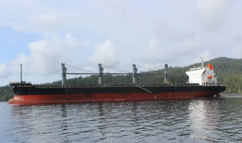 YOU&ISLAND Bulk Carrier IMO 9605085 photo 6