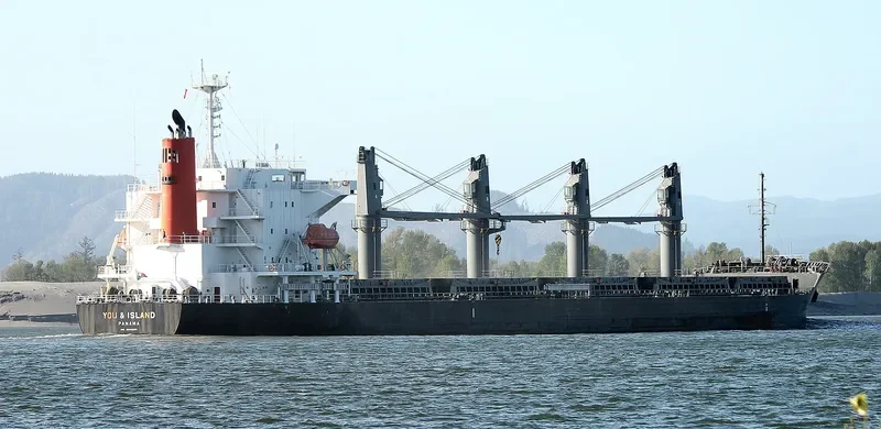 YOU&ISLAND Bulk Carrier IMO 9605085 photo 7