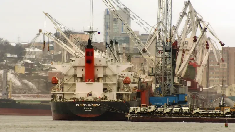 PACIFIC CYPRESS Bulk Carrier IMO 9605097
