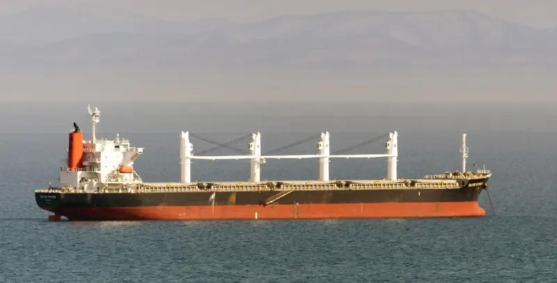 PACIFIC CYPRESS Bulk Carrier IMO 9605097 photo 5