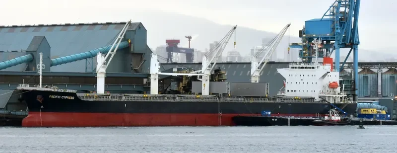 PACIFIC CYPRESS Bulk Carrier IMO 9605097 photo 6