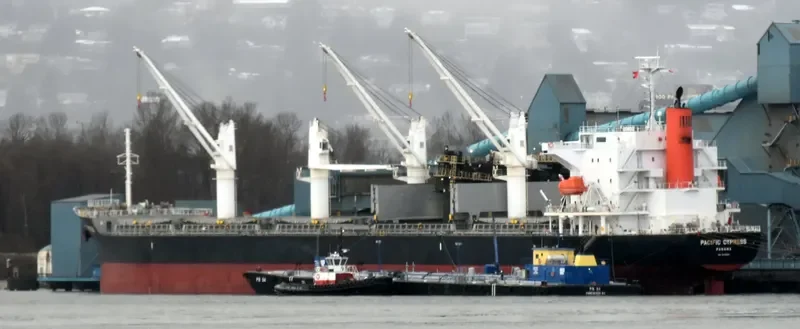 PACIFIC CYPRESS Bulk Carrier IMO 9605097 photo 7