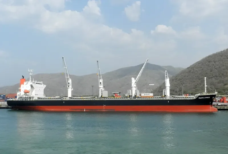 PACIFIC CYPRESS Bulk Carrier IMO 9605097 photo 10