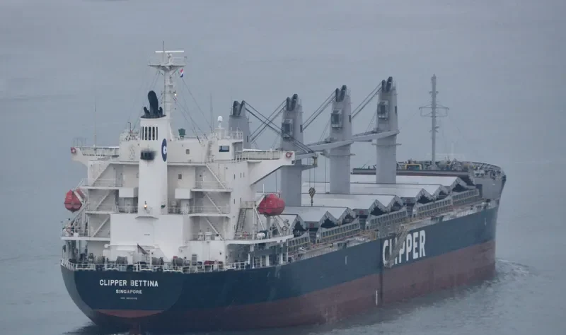 AGIA FILOTHEI Bulk Carrier IMO 9605102 photo 8