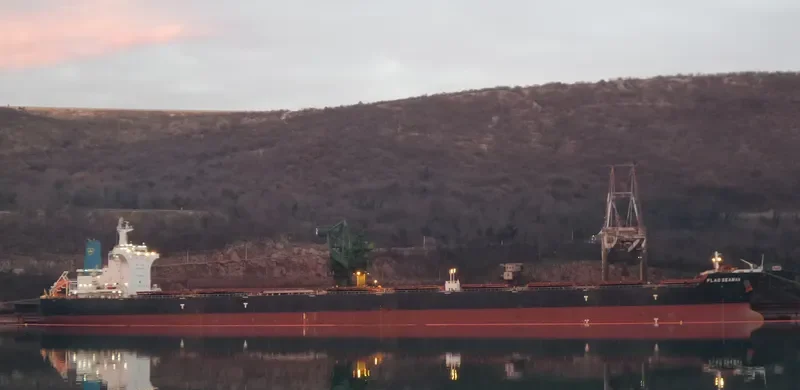 FLAG SEAMAN Bulk Carrier IMO 9605499 photo 5