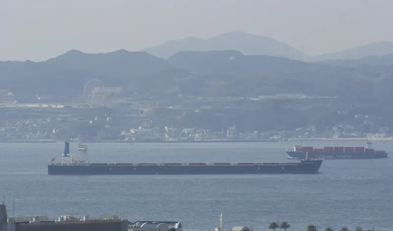 FLAG SEAMAN Bulk Carrier IMO 9605499 photo 9
