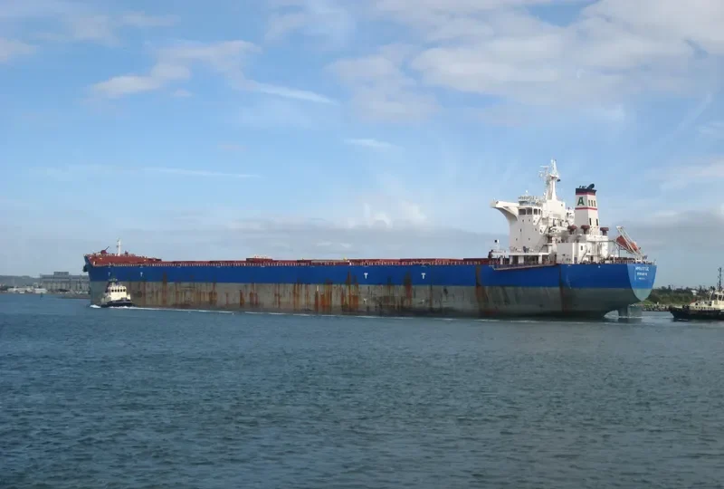 HERODOTUS Bulk Carrier IMO 9605700