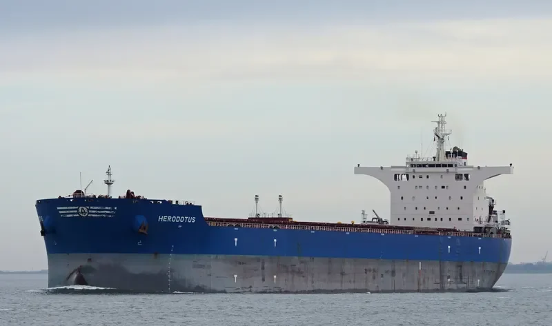 HERODOTUS Bulk Carrier IMO 9605700 photo 6