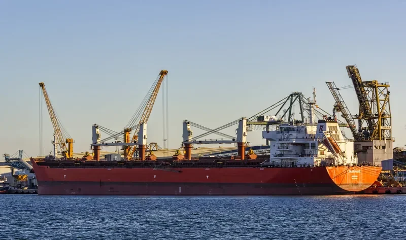 WARRIOR Bulk Carrier IMO 9605865