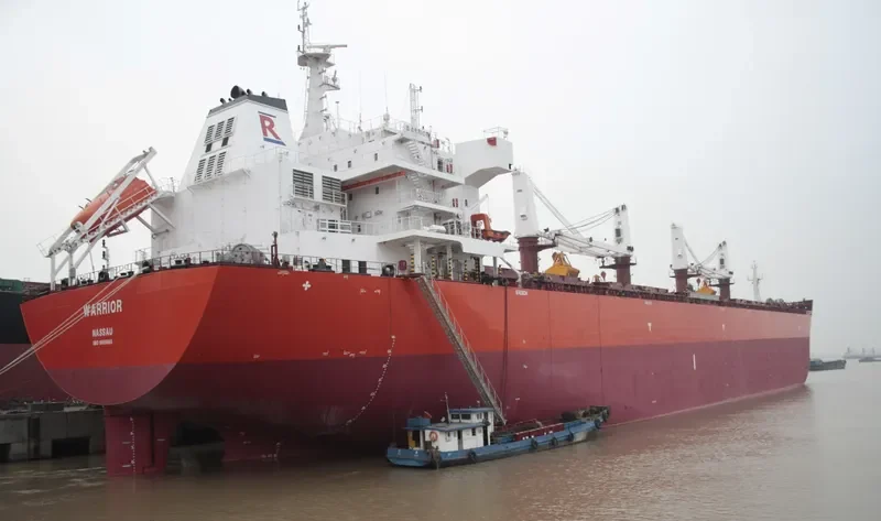 WARRIOR Bulk Carrier IMO 9605865 photo 10