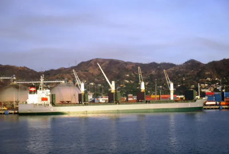 DAYDREAM BELIEVER Bulk Carrier IMO 9605982 photo 3