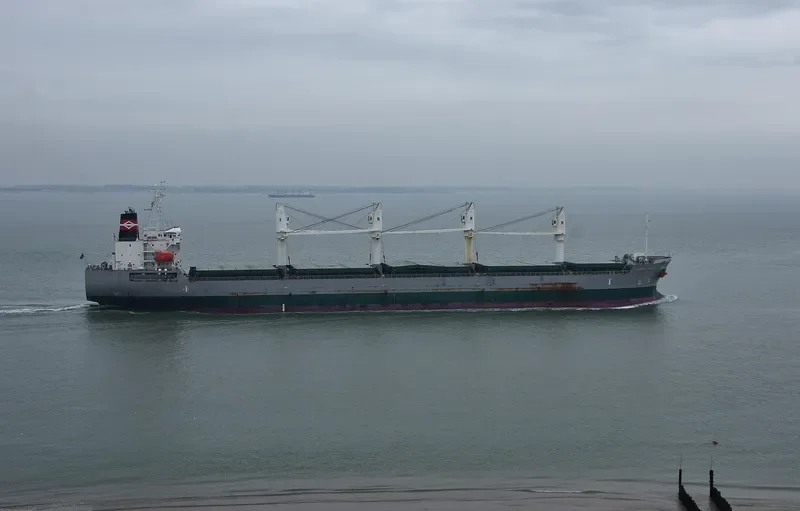 DAYDREAM BELIEVER Bulk Carrier IMO 9605982 photo 5