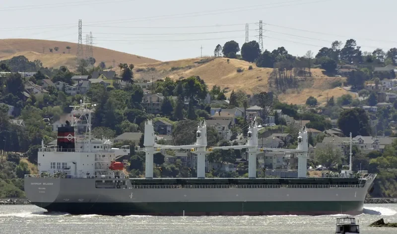 DAYDREAM BELIEVER Bulk Carrier IMO 9605982 photo 6