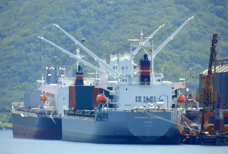 DAYDREAM BELIEVER Bulk Carrier IMO 9605982 photo 8