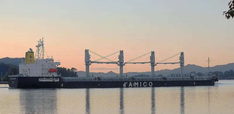 CIELO DI PALERMO Bulk Carrier IMO 9606003 photo 2