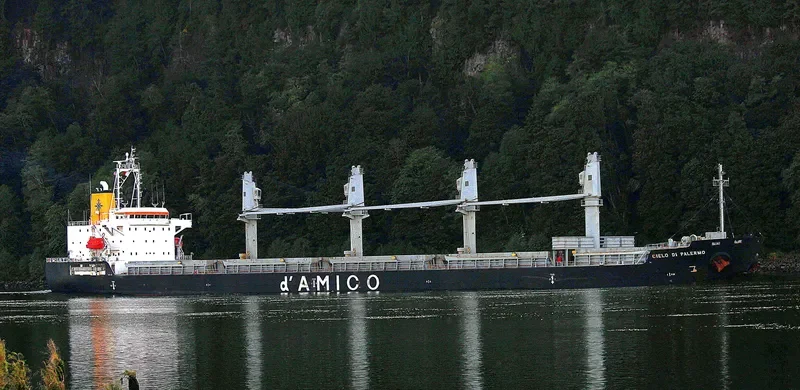 CIELO DI PALERMO Bulk Carrier IMO 9606003 photo 4