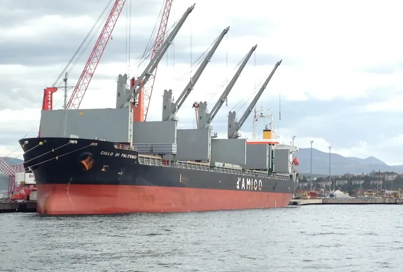 CIELO DI PALERMO Bulk Carrier IMO 9606003 photo 6