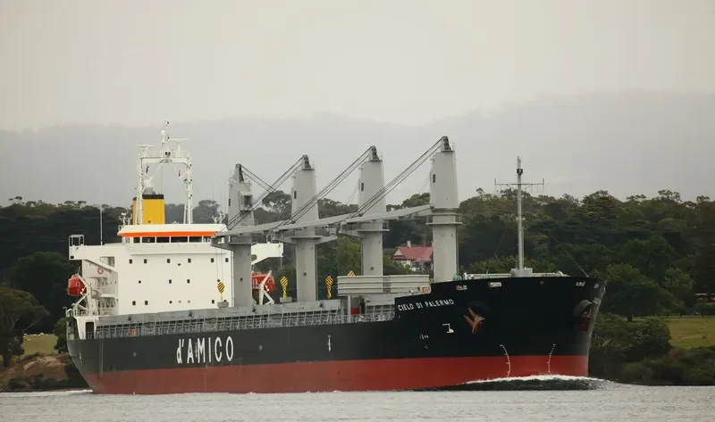CIELO DI PALERMO Bulk Carrier IMO 9606003 photo 10