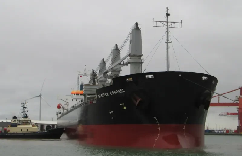 ES DIGNITY Bulk Carrier IMO 9606039 photo 2