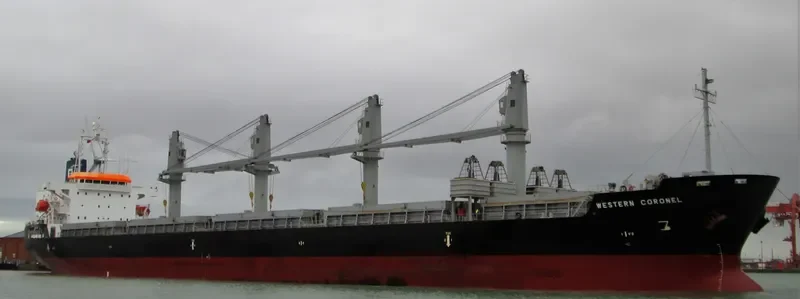 ES DIGNITY Bulk Carrier IMO 9606039 photo 4