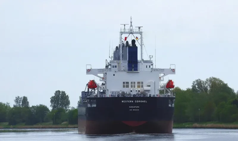 ES DIGNITY Bulk Carrier IMO 9606039 photo 6