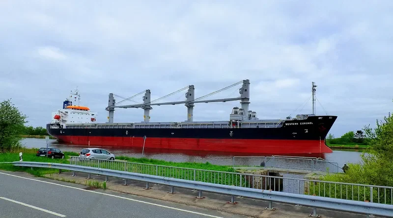 ES DIGNITY Bulk Carrier IMO 9606039 photo 8