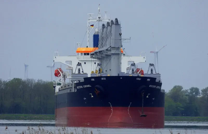 ES DIGNITY Bulk Carrier IMO 9606039 photo 10