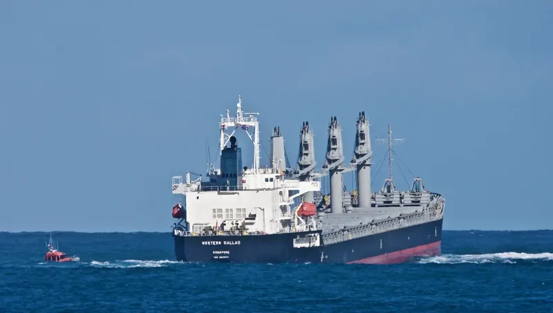 WESTERN CALLAO Bulk Carrier IMO 9606041 photo 5