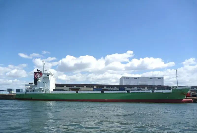 RYUSEI General Cargo IMO 9606273 photo 3