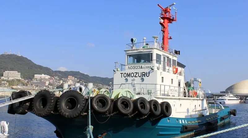 TOMOZURUMARU General Cargo IMO 9606405 photo 5