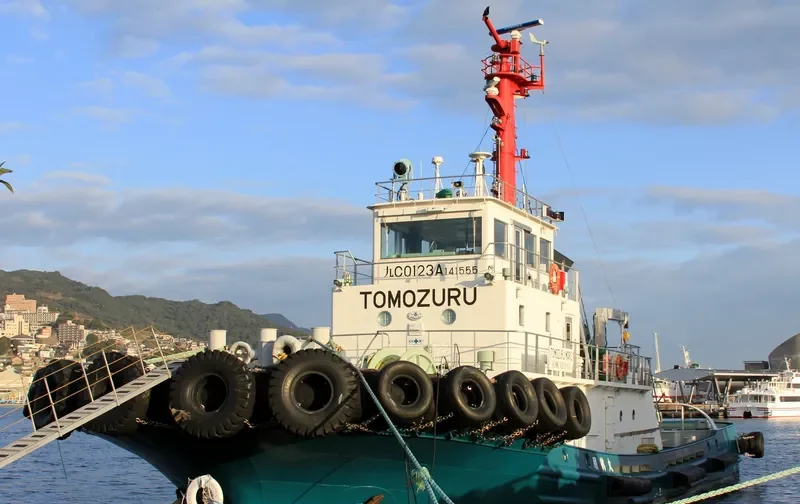 TOMOZURUMARU General Cargo IMO 9606405 photo 6