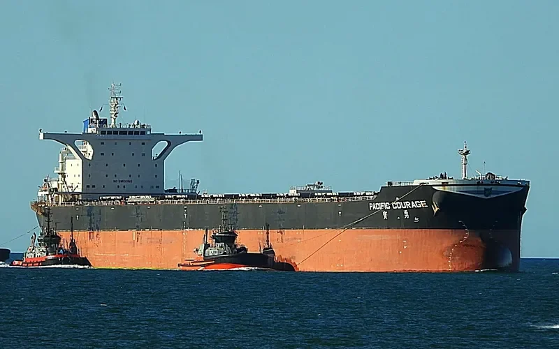 PACIFIC COURAGE Bulk Carrier IMO 9606429 photo 3