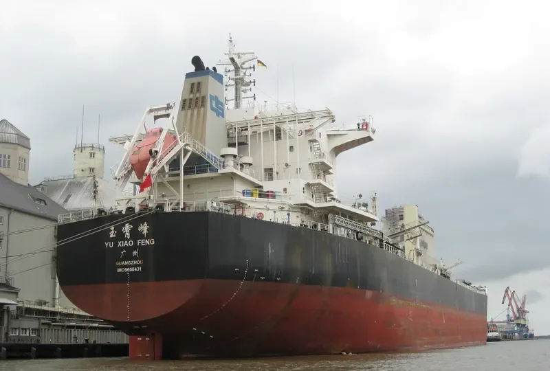 YU XIAO FENG Bulk Carrier IMO 9606431 photo 9