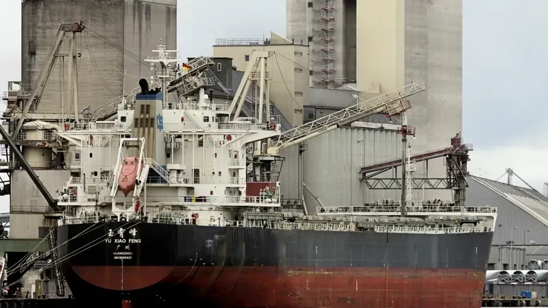 YU XIAO FENG Bulk Carrier IMO 9606431 photo 10