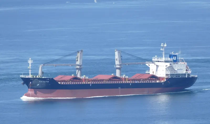 HAYATE General Cargo IMO 9606493 photo 10