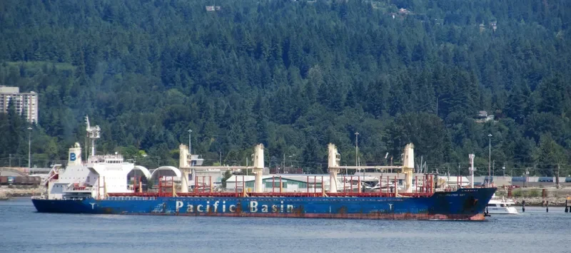 CLEARWATER BAY Bulk Carrier IMO 9606534 photo 5