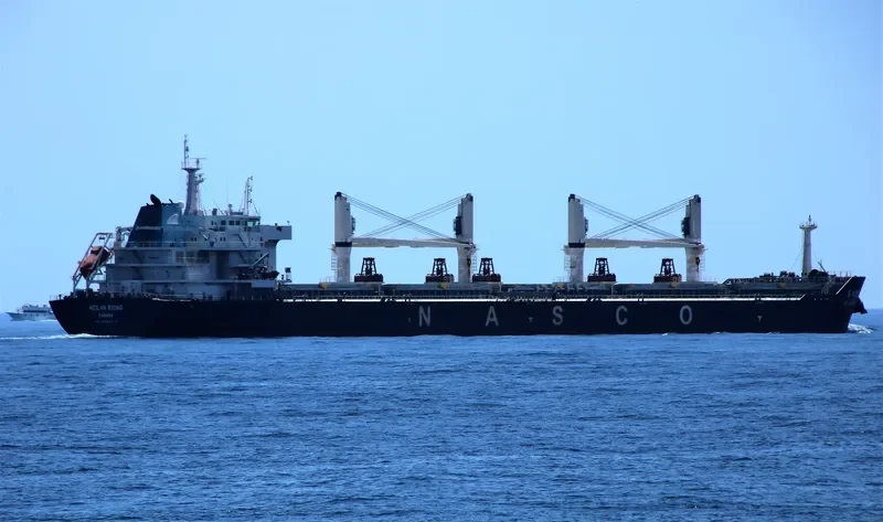 HEILAN RISING Bulk Carrier IMO 9606819 photo 10