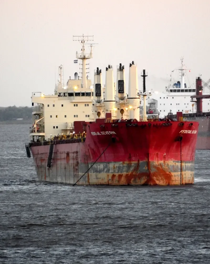 FEDERAL SEVERN Bulk Carrier IMO 9606821 photo 5