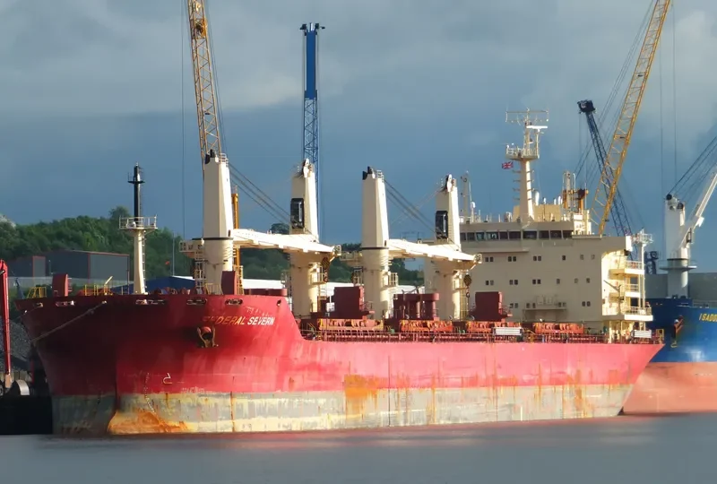 FEDERAL SEVERN Bulk Carrier IMO 9606821 photo 10
