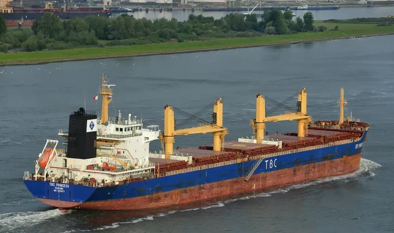TBC PRINCESS Bulk Carrier IMO 9606871