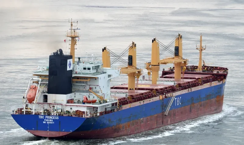 TBC PRINCESS Bulk Carrier IMO 9606871 photo 5