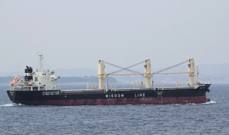 ATAYAL STAR Bulk Carrier IMO 9606962 photo 2