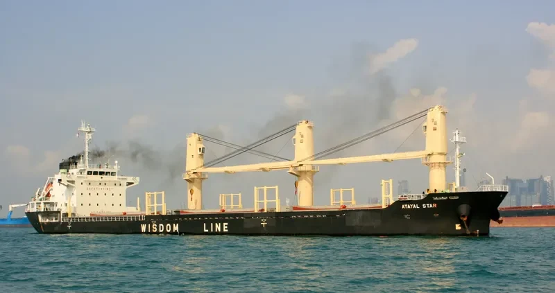 ATAYAL STAR Bulk Carrier IMO 9606962 photo 5