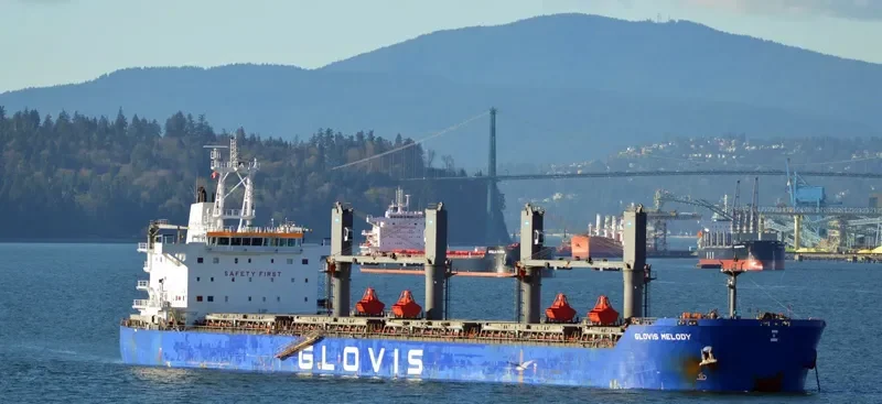 GLOVIS MELODY Bulk Carrier IMO 9607007 photo 10