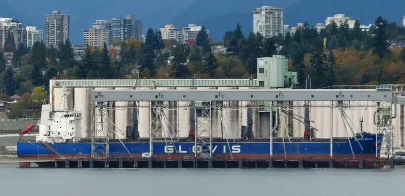 GLOVIS MELODY Bulk Carrier IMO 9607007 photo 14