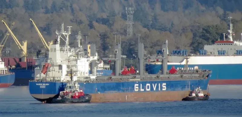 GLOVIS MELODY Bulk Carrier IMO 9607007 photo 23