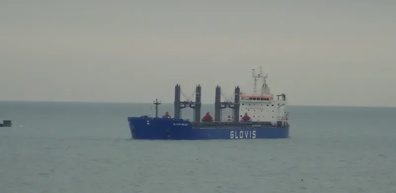 GLOVIS MELODY Bulk Carrier IMO 9607007 photo 25