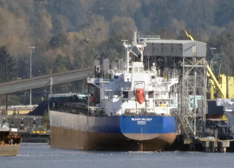 GLOVIS MELODY Bulk Carrier IMO 9607007 photo 30